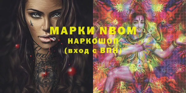 мет Алексин