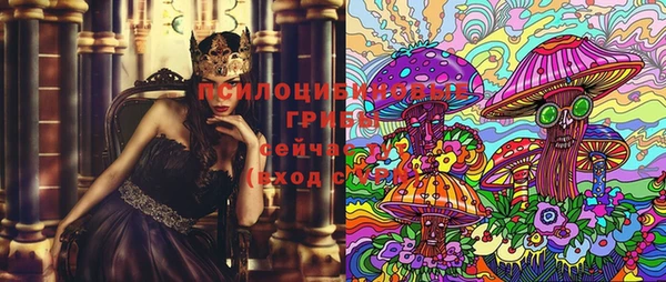 дурь Алексеевка