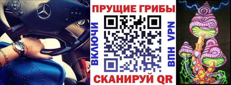 Псилоцибиновые грибы мухоморы  магазин    Заводоуковск 